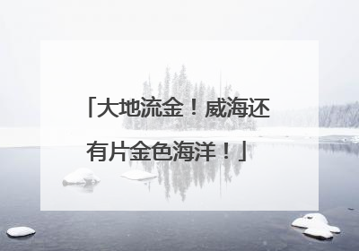 大地流金！威海还有片金色海洋！