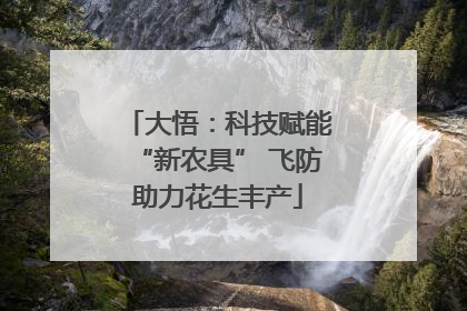 大悟：科技赋能“新农具” 飞防助力花生丰产