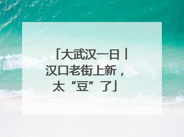 大武汉一日︱汉口老街上新，太“豆”了