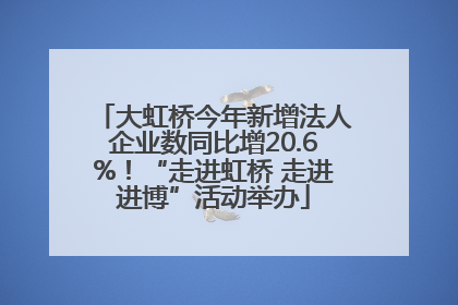 大虹桥今年新增法人企业数同比增20.6%！“走进虹桥 走进进博”活动举办