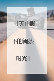 天山脚下的闽茶时光