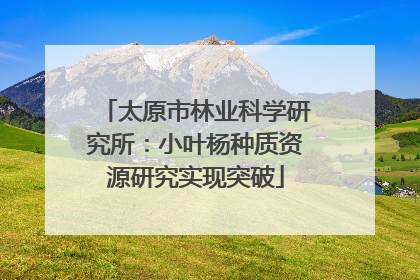 太原市林业科学研究所：小叶杨种质资源研究实现突破