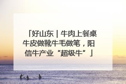 好山东｜牛肉上餐桌牛皮做靴牛毛做笔，阳信牛产业“超级牛”