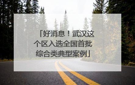好消息！武汉这个区入选全国首批综合类典型案例