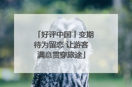 好评中国丨变期待为留恋 让游客满意贯穿旅途