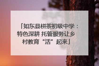 如东县栟茶初级中学：特色深耕 托管服务让乡村教育“活”起来