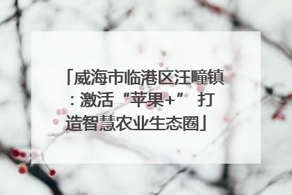 威海市临港区汪疃镇：激活“苹果+” 打造智慧农业生态圈