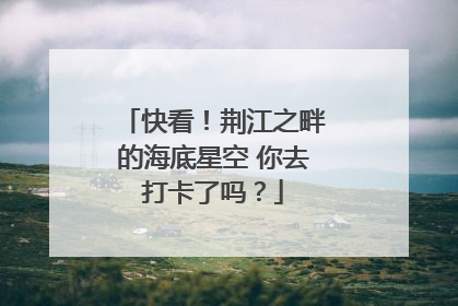 快看！荆江之畔的海底星空 你去打卡了吗？