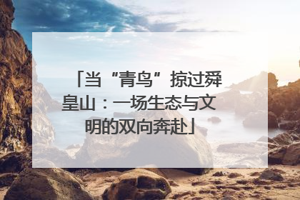 当“青鸟”掠过舜皇山：一场生态与文明的双向奔赴