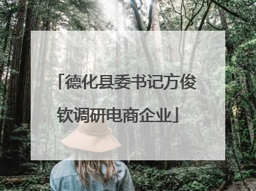 德化县委书记方俊钦调研电商企业