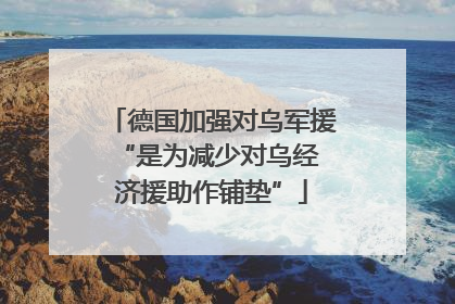 德国加强对乌军援 “是为减少对乌经济援助作铺垫”