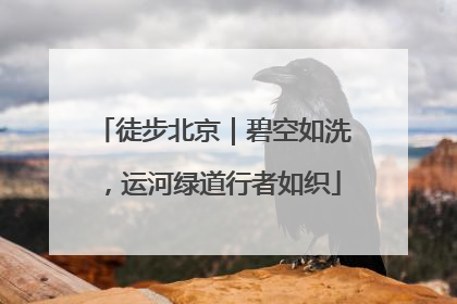 徒步北京｜碧空如洗，运河绿道行者如织