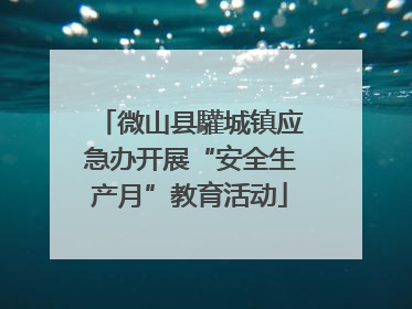 微山县驩城镇应急办开展“安全生产月”教育活动