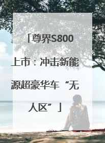 尊界S800上市：冲击新能源超豪华车“无人区”