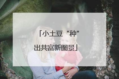 小土豆“种”出共富新图景