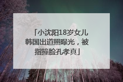 小沈阳18岁女儿韩国出道照曝光，被指撞脸孔孝真