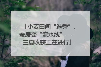 小麦田间“选秀”、蚕房变“流水线”……三夏收获正在进行