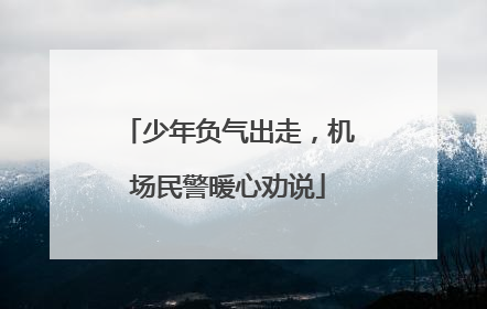 少年负气出走，机场民警暖心劝说