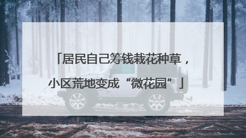 居民自己筹钱栽花种草，小区荒地变成“微花园”