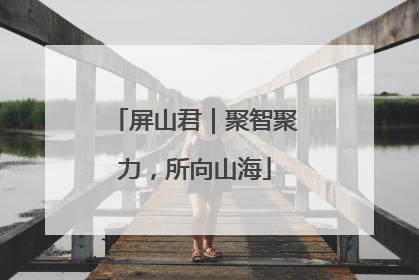 屏山君｜聚智聚力，所向山海