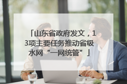 山东省政府发文，13项主要任务推动省级水网“一网统管”
