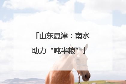 山东夏津：南水助力“吨半粮”