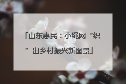 山东惠民：小绳网“织”出乡村振兴新图景