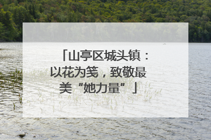 山亭区城头镇：以花为笺，致敬最美“她力量”