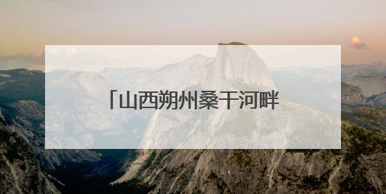 山西朔州桑干河畔“鸟中大熊猫”黑鹳种群罕见扩容