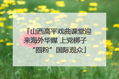 山西高平戏曲课堂迎来海外华媒 上党梆子“圈粉”国际观众
