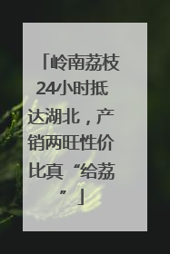 岭南荔枝24小时抵达湖北，产销两旺性价比真“给荔”