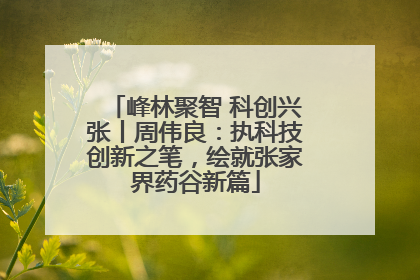 峰林聚智 科创兴张丨周伟良：执科技创新之笔，绘就张家界药谷新篇