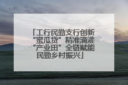 工行民勤支行创新“蜜瓜贷”精准滴灌“产业田”全链赋能民勤乡村振兴