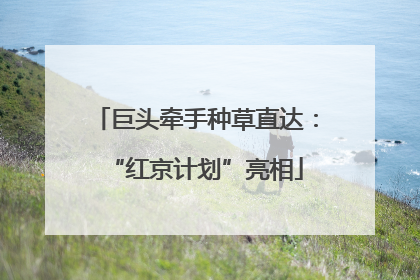 巨头牵手种草直达：“红京计划”亮相