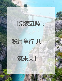 常德武陵：税月童行 共筑未来