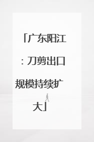 广东阳江：刀剪出口规模持续扩大