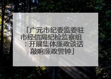 广元市纪委监委驻市经信局纪检监察组：开展集体廉政谈话 敲响廉政警钟