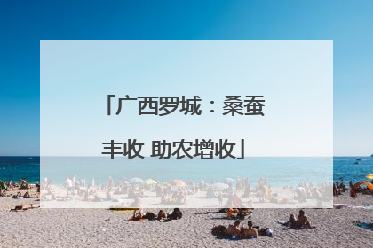 广西罗城：桑蚕丰收 助农增收