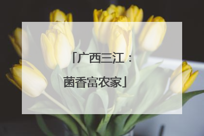 广西三江：菌香富农家