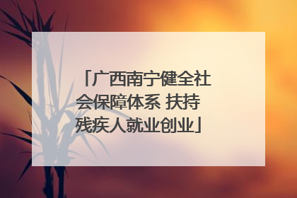 广西南宁健全社会保障体系 扶持残疾人就业创业