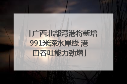 广西北部湾港将新增991米深水岸线 港口吞吐能力劲增