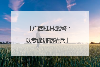 广西桂林武警：以考促训砺精兵