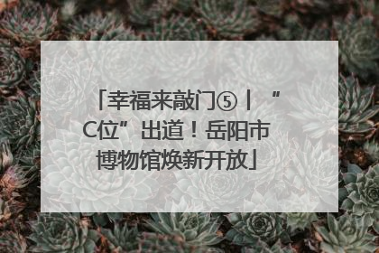 幸福来敲门⑤丨“C位”出道！岳阳市博物馆焕新开放