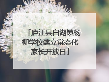 庐江县白湖镇杨柳学校建立常态化家长开放日