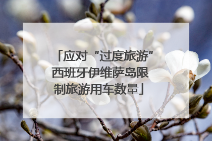 应对“过度旅游” 西班牙伊维萨岛限制旅游用车数量