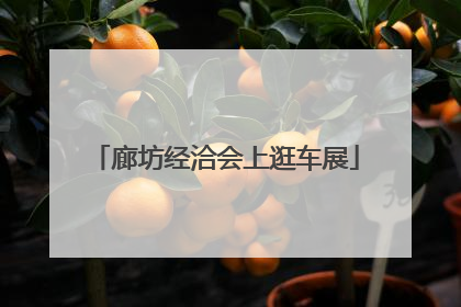 廊坊经洽会上逛车展