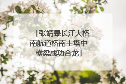 张靖皋长江大桥南航道桥南主塔中横梁成功合龙