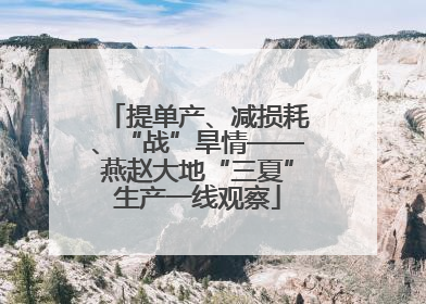 提单产、减损耗、“战”旱情——燕赵大地“三夏”生产一线观察