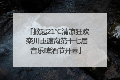 掀起21℃清凉狂欢 栾川重渡沟第十七届音乐啤酒节开幕