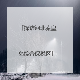 探访河北秦皇岛综合保税区